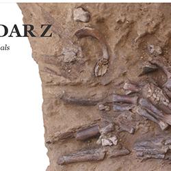 Screenshot of Shanidar-Z article