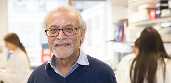 Azim Surani in his lab at the Gurdon Institute