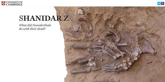 Screenshot of Shanidar-Z article